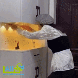 اضاءة متعددة ILED من ALLHONA